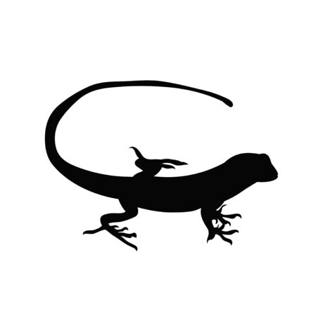 vector, isolated black silhouette of iguanaのイラスト素材