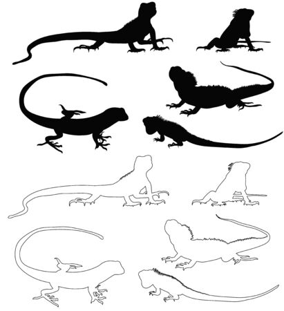 isolated large silhouette of a lizard on white backgroundのイラスト素材