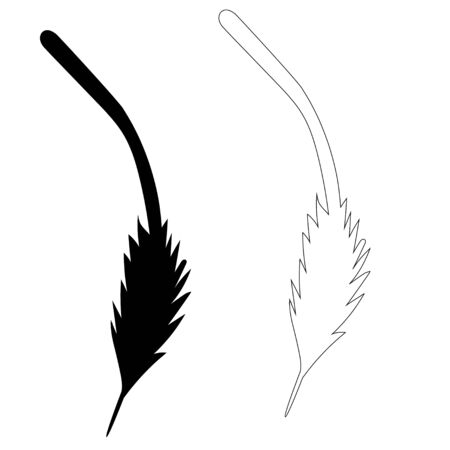 vector isolated silhouette of bird feather, outlineのイラスト素材