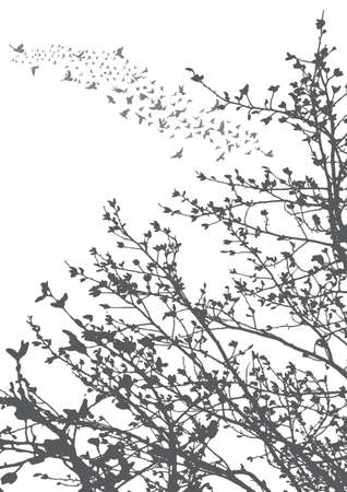 Vector, illustration, silhouette of flying birds and tree branchesのイラスト素材