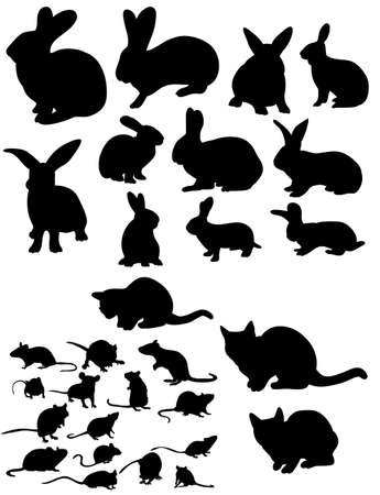 Vector, isolated silhouette of rat, cats and rabbits collectionのイラスト素材