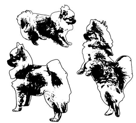 Vector, illustration, silhouette dog, collectionのイラスト素材