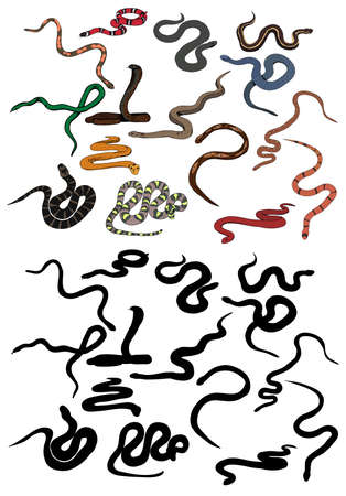 set of snake crawling, collection of silhouettesのイラスト素材