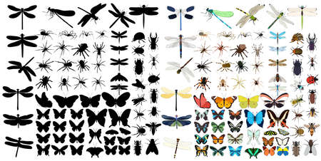 vector isolated, silhouette insects setのイラスト素材