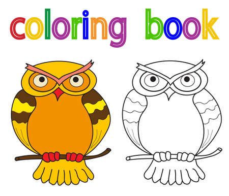 book coloring, owlのイラスト素材