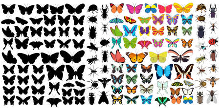 isolated, set of insects, beetles and butterfliesのイラスト素材