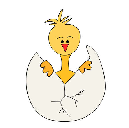 vector, character chick in eggのイラスト素材