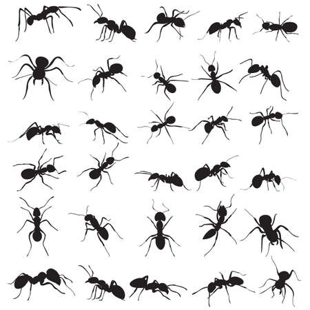 vector, isolated, ant crawling silhouette, set, collectionのイラスト素材