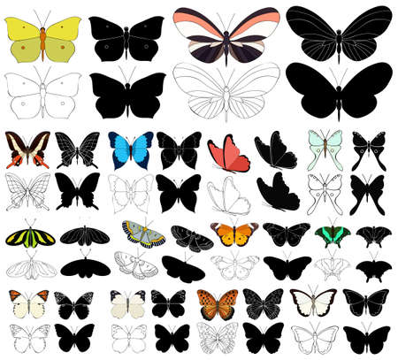 isolated, set of beautiful butterflies with sketch and black silhouetteのイラスト素材