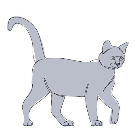 cat line drawing, picture, isolatedのイラスト素材