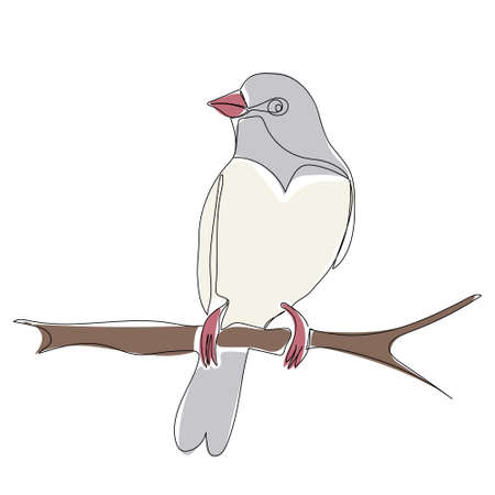 bird on a branch line, painting, isolated, vectorのイラスト素材