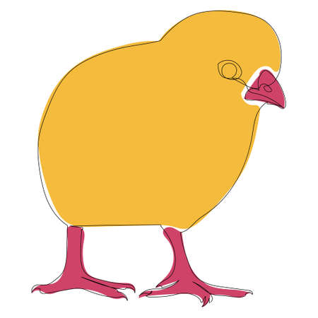 chicken line drawing, picture, isolated, vectorのイラスト素材