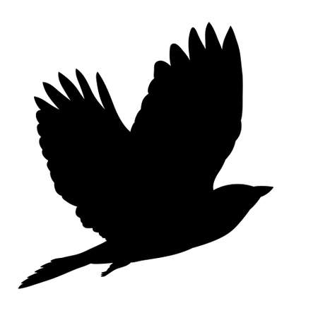 isolated, bird flies black silhouetteのイラスト素材
