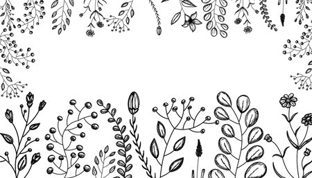 vector, isolated, black silhouette growing grass plants, flowersのイラスト素材
