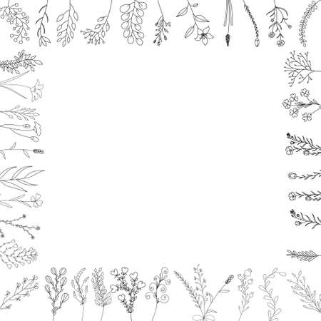 background sketch plants, grass, flowers hand drawnのイラスト素材