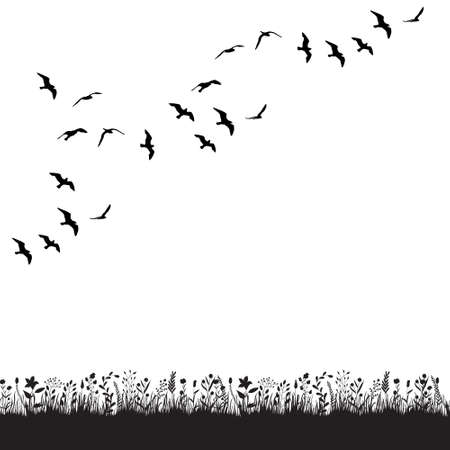 isolated, a flock of birds flies in natureのイラスト素材