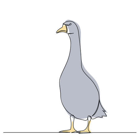 gray goose drawing by one continuous line, isolatedのイラスト素材