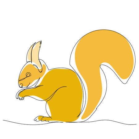 squirrel drawing by one continuous lineのイラスト素材