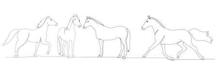 horse drawing by one continuous line, isolatedのイラスト素材
