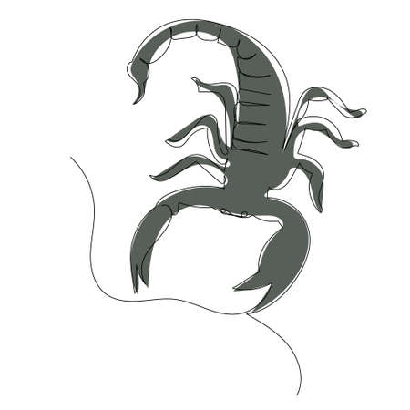 scorpion drawing by one continuous line, isolatedのイラスト素材