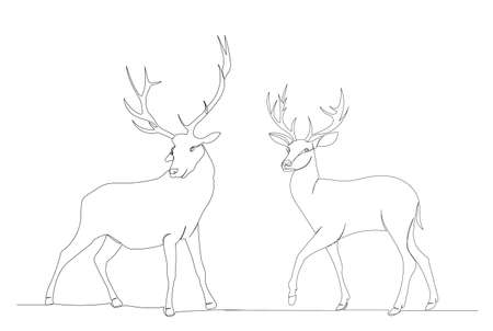deer drawing by one continuous line, isolatedのイラスト素材