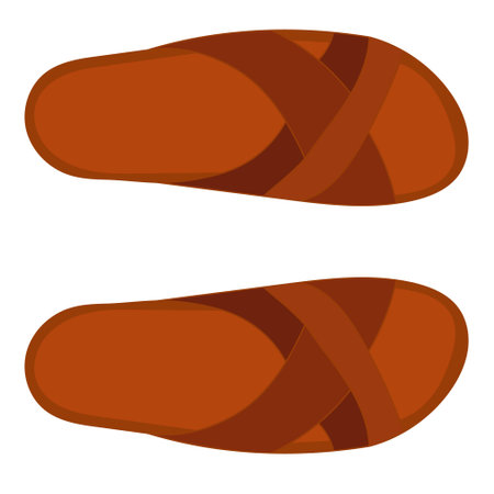 vector, isolated, male brown flip-flopsのイラスト素材