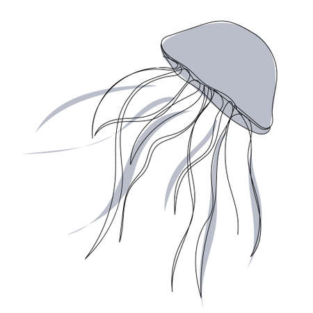 vector, isolated picture, continuous line drawing jellyfishのイラスト素材