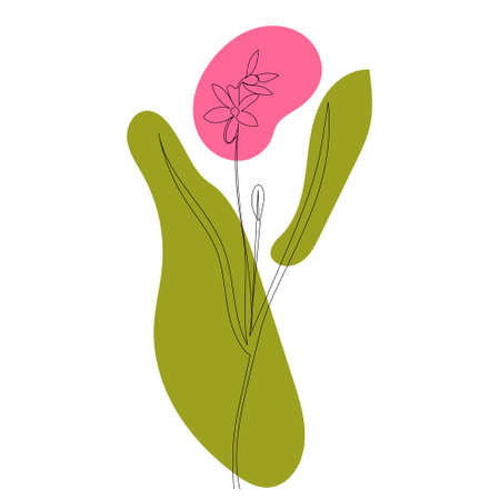 one continuous line drawing of a flowerのイラスト素材