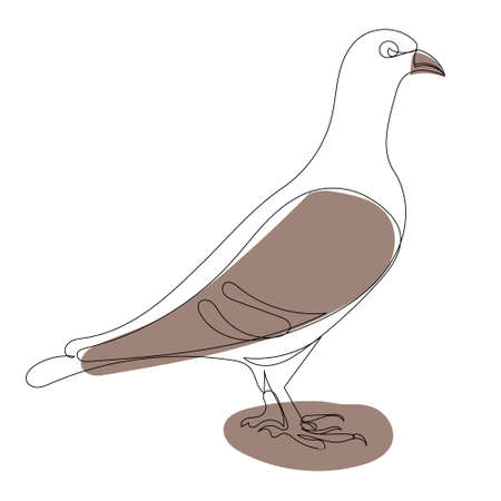 dove drawing by one continuous line, sketchのイラスト素材