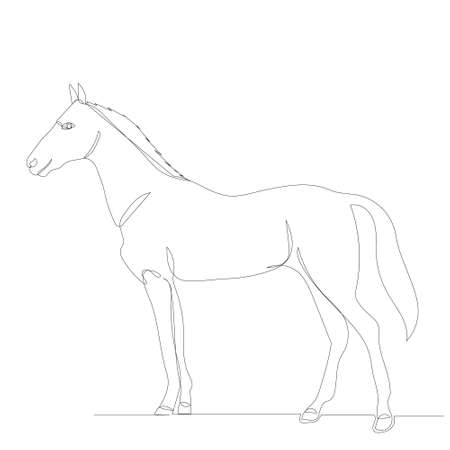 horse drawing by one continuous line, sketchのイラスト素材