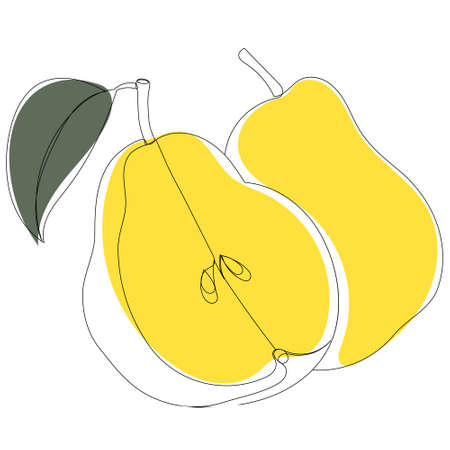 single continuous line drawing pear sketchのイラスト素材