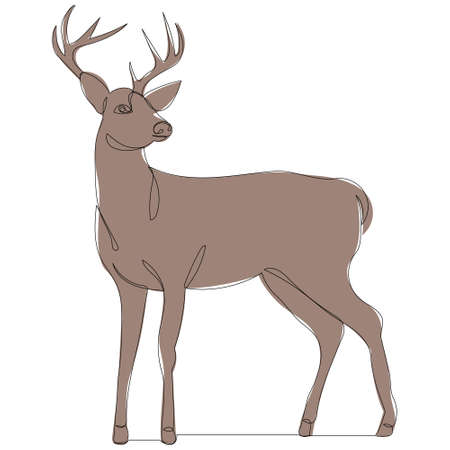 one line drawing brown deer, sketchのイラスト素材
