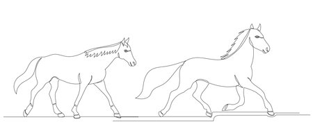running horses drawing by one continuous lineのイラスト素材