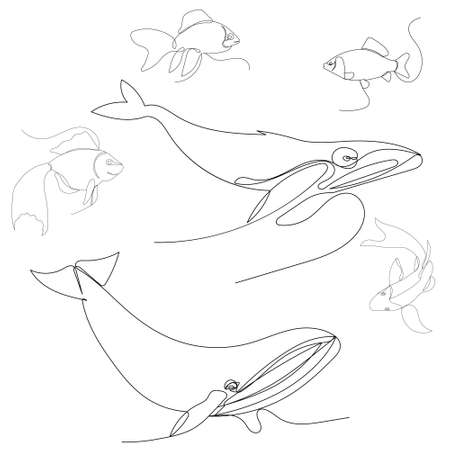 fish whales drawing by one continuous line, vectorのイラスト素材