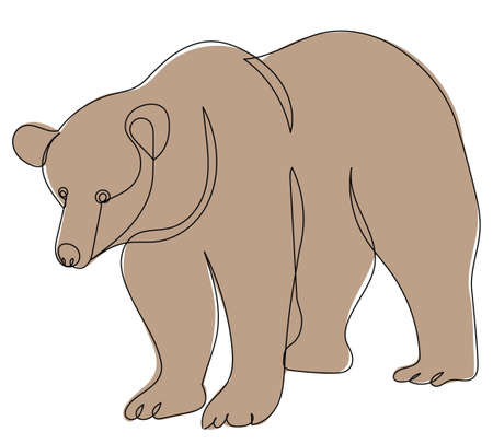 bear continuous line vector, isolatedのイラスト素材