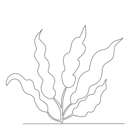 algae drawing one continuous lineのイラスト素材