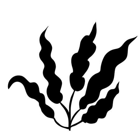 black silhouette seaweed, isolated vector, on white backgroundのイラスト素材