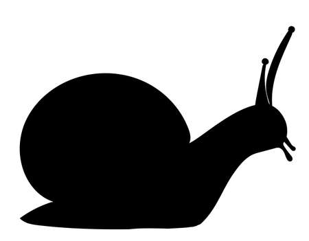 black silhouette snail, isolated, vectorのイラスト素材
