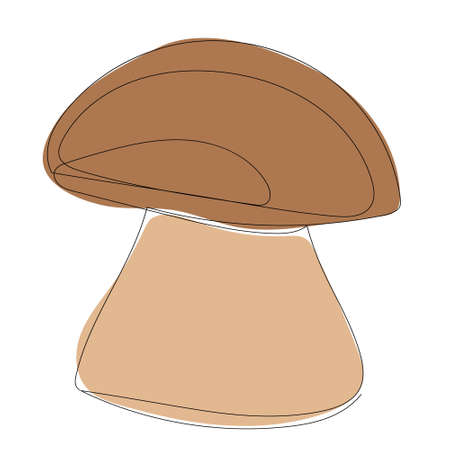 sketch brown mushroom line drawingのイラスト素材