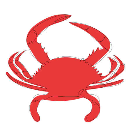 crab, sketch in isolation, vectorのイラスト素材
