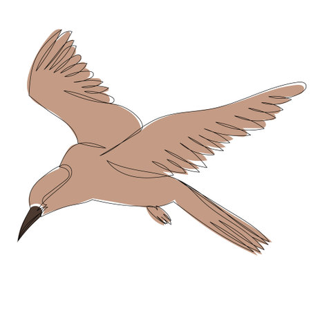 bird brown flies, sketch isolated, vectorのイラスト素材