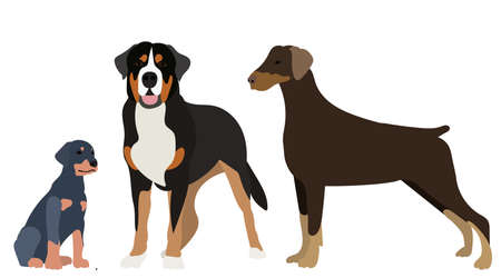 dog and puppy in flat style, vector, isolatedのイラスト素材