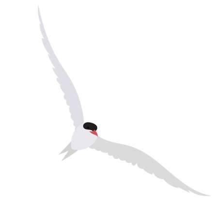 flying bird in flat style, vector, isolated