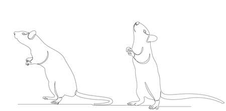 rat, mouse one continuous line drawing, vector, isolatedのイラスト素材