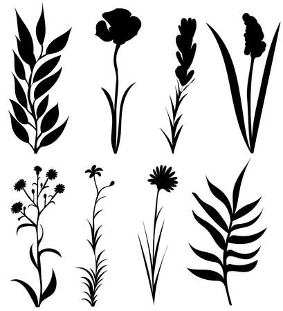 silhouette of a plant, flowers on a white background, isolated, vectorのイラスト素材