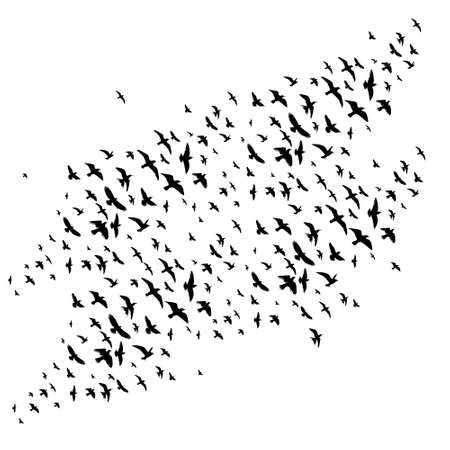 silhouette marine life, animals, isolated, vectorのイラスト素材