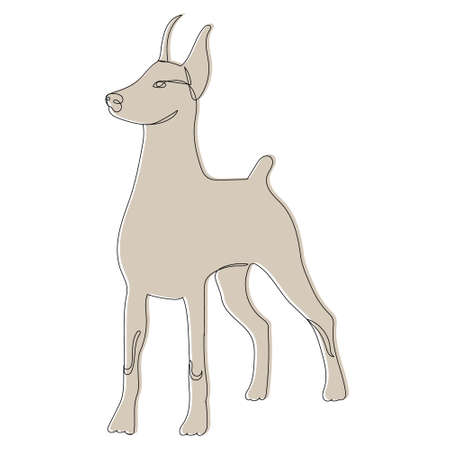 dog on white background sketch, vector, isolatedのイラスト素材