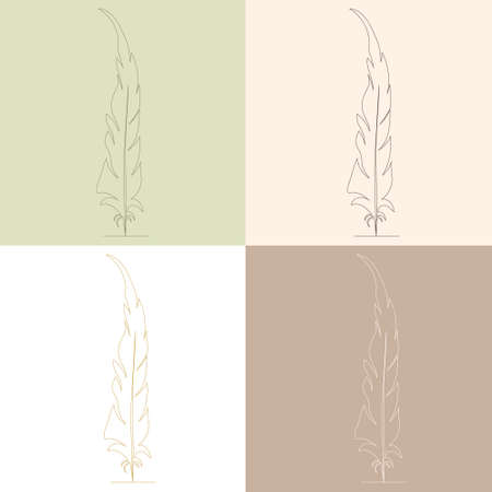 feather of a bird, drawing by one continuous line, on the background sketch, vectorのイラスト素材
