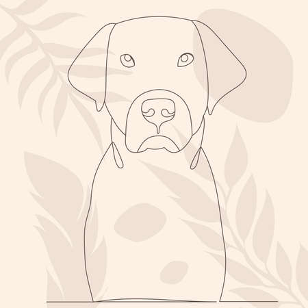 dog portrait drawing by one line, on an abstract background, vectorのイラスト素材