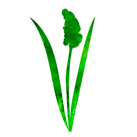 plant green watercolor silhouette isolated, vectorのイラスト素材